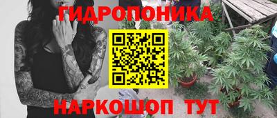 apvp Пушкино