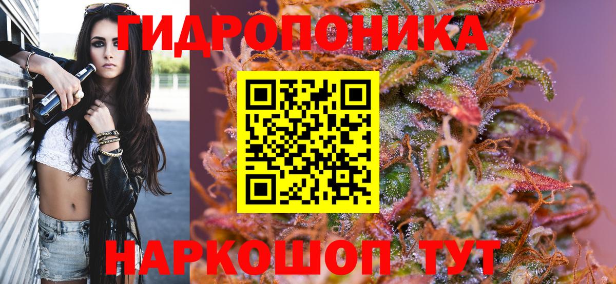 Бошки марихуана планчик  МАРИХУАНА Bruce Banner  Каннабис сатива  Вход с VPN  МАРИХУАНА Bruce Banner  Полысаево 